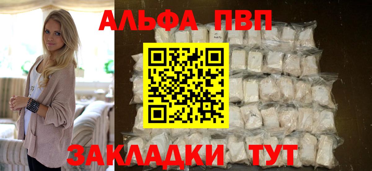 Альфа ПВП СК Славгород