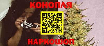 прущие грибы Моздок