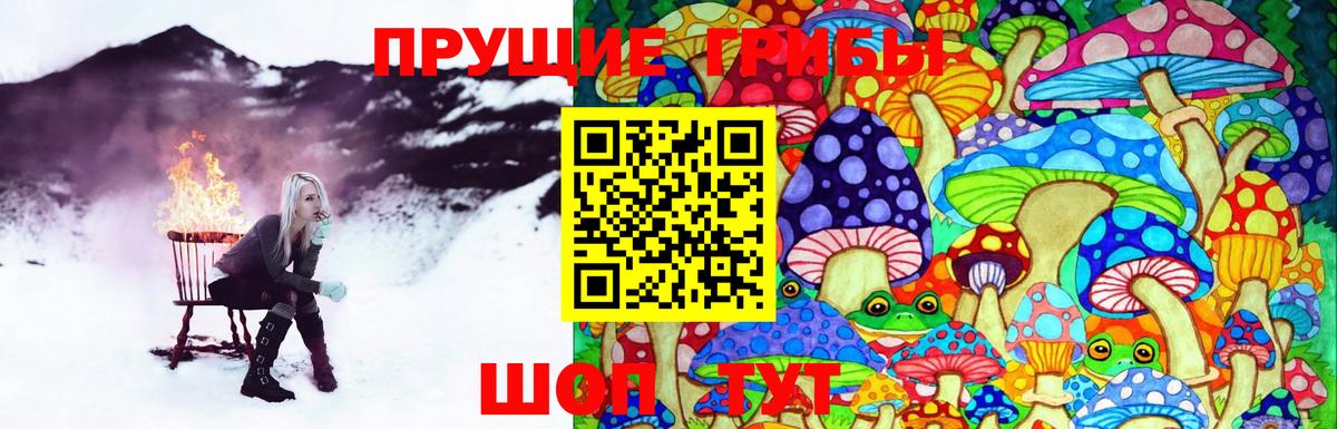 Галлюциногенные грибы Magic Shrooms  Вход с VPN  где продают   Славгород 